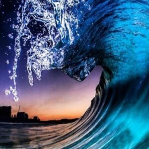 Meet your Posher, Lydia